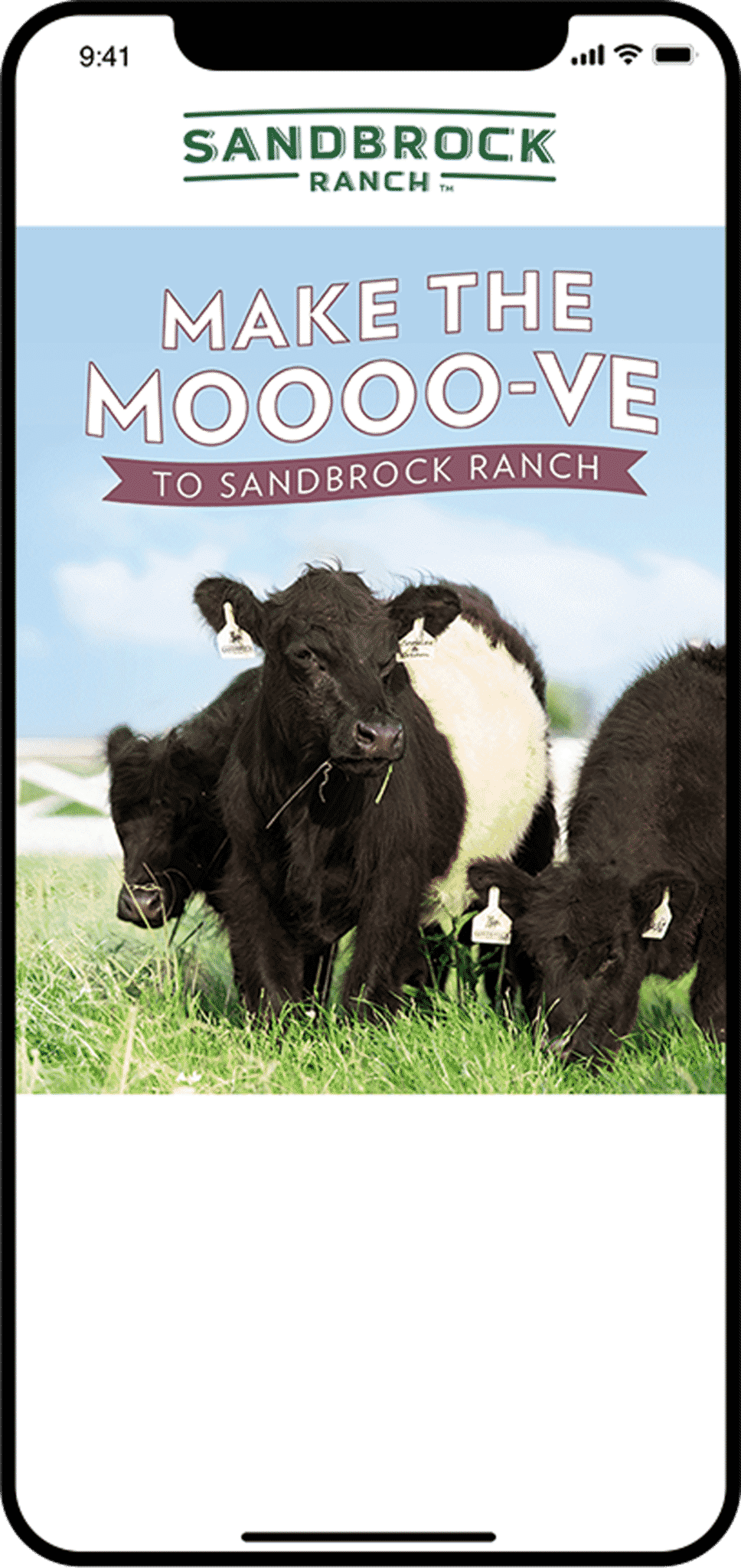 sandbrock email mockup